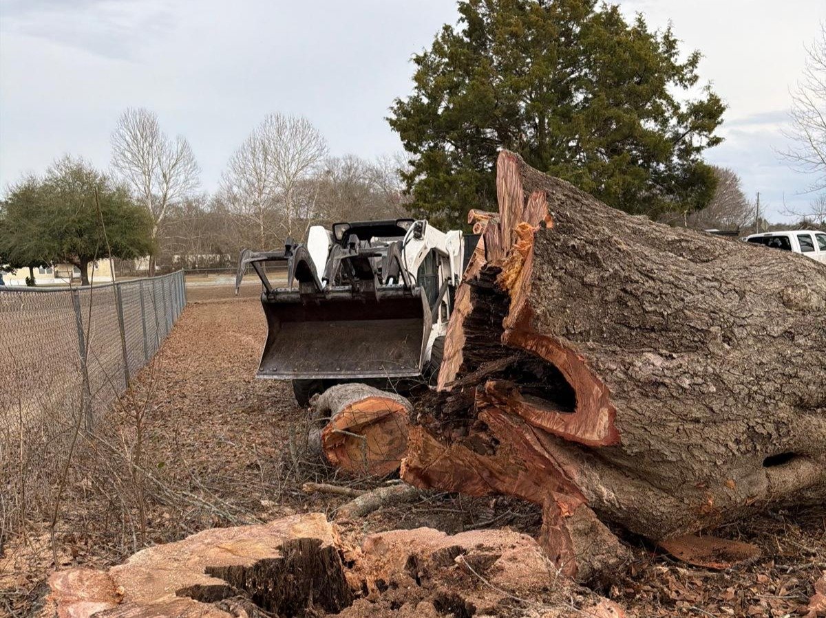 El Costeño Tree Service LLC
